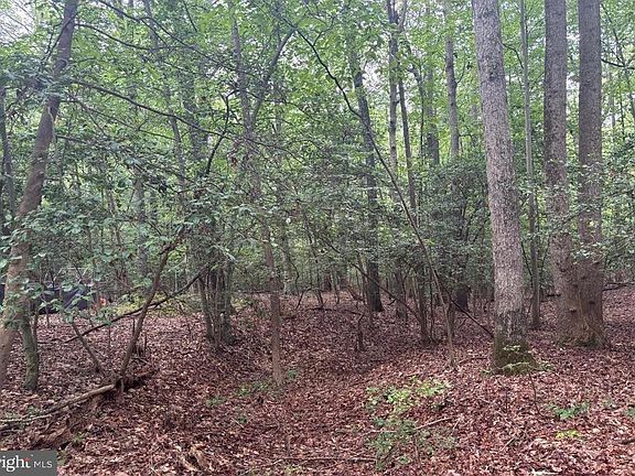 4th image of 16661 Bald Eagle School Rd