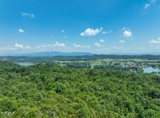 2 Devault Bridge Rd, Piney Flats, TN 37686