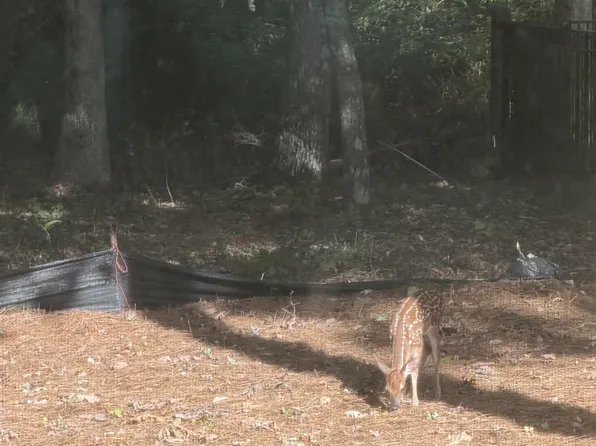 29 Bluff Creek Cir SE, Huntsville, AL 35803