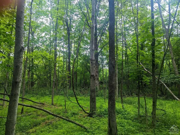 0 Route 144, New Baltimore, NY 12042