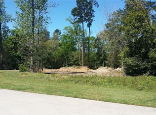 19018 Timberlake View Ln, Tomball, TX 77377