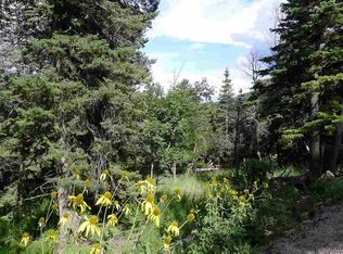 34 Elk Springs, Cloudcroft, NM 88317