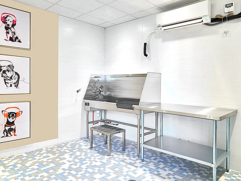 Convenient, on-site dog wash