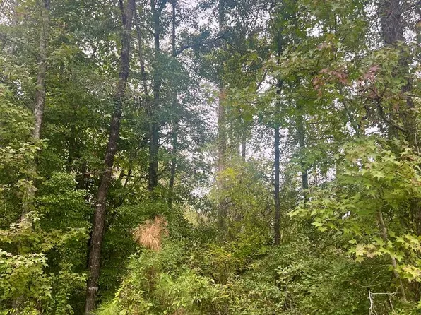 0 Douglas Dr, Abbeville, AL 36310