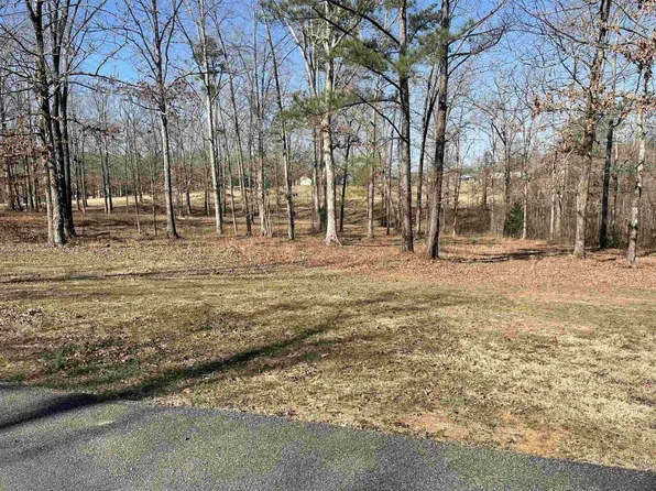 0 Old South Rd Lot 251, Counce, TN 38326