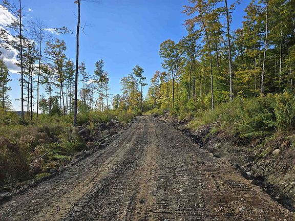 2nd image of 177 Cilley Hill Road #6