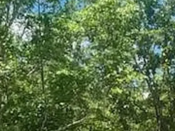 TBD PIONEER PLACE, Aiken, SC 29801