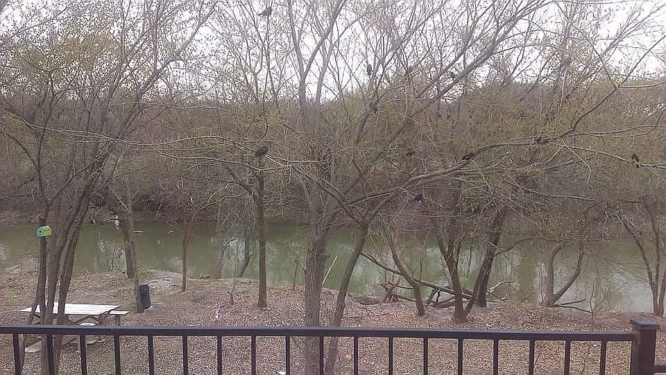 2nd image of 7811 Enchanted Isle Dr