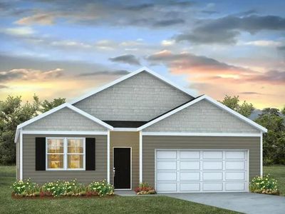736 Striped Bass Ct, Santee, SC, 29142