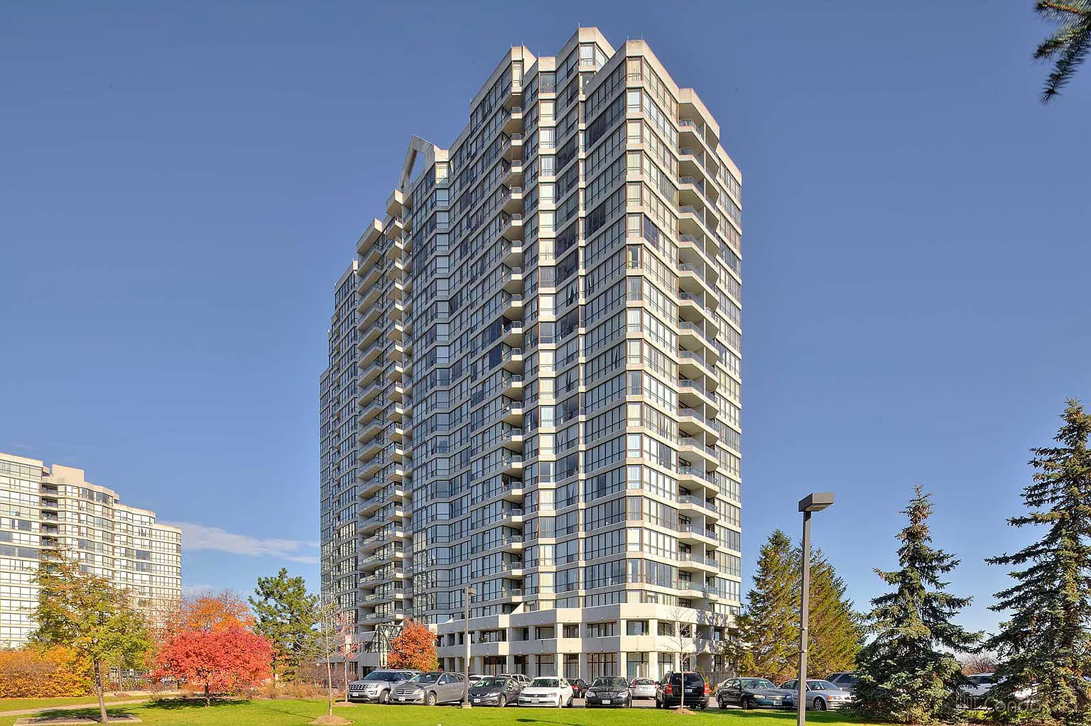 3 Rowntree Rd #1012 photo 1