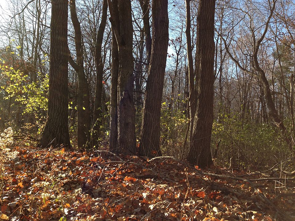 1st image of 195xx Olinda Trail