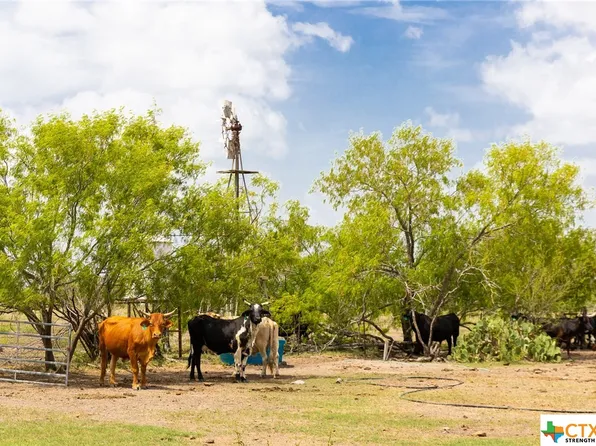0 Fm 2043, Goliad, TX 77963