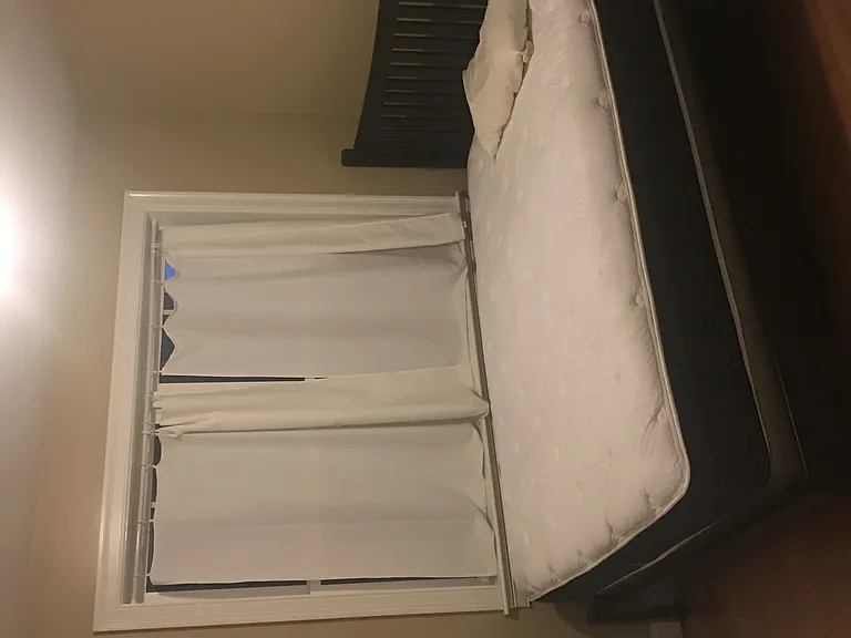 19-21 Calvin St #1 — Photo 19