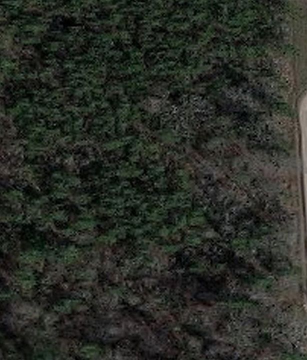 2nd image of 3 Wilkerson Rd #3