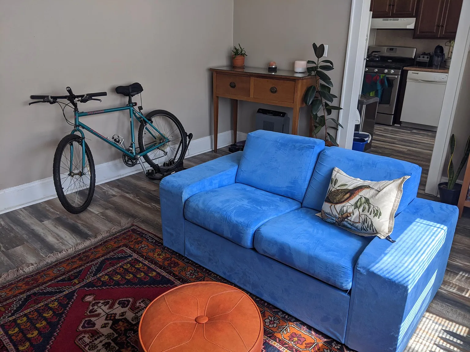 2 bed, 950 sqft, $1,250 — Photo 3