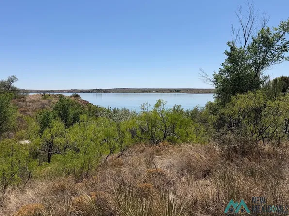 108 Ute Dr, Logan, NM 88426