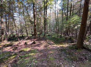 LOT 25 Champlain Rd, Tiny, ON L9M 1S3