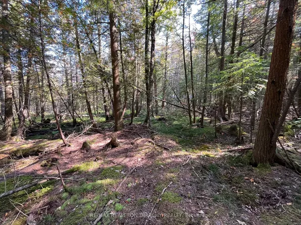 LOT 25 Champlain Rd, Tiny, ON L9M 1S3