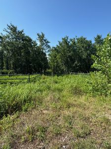 1437 Cedar Mills Rd, Gordonville, TX, 76245