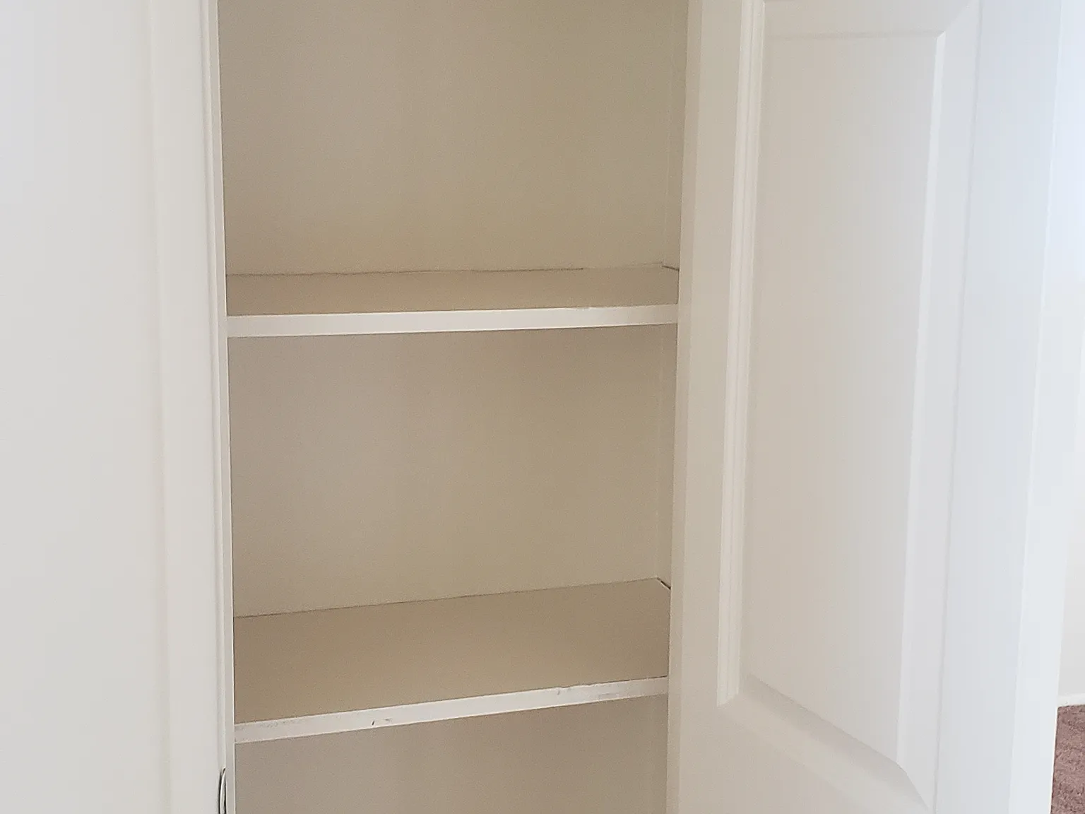 2 bed, 1.5 bath, 1096 sqft, $1,900 — Photo 3