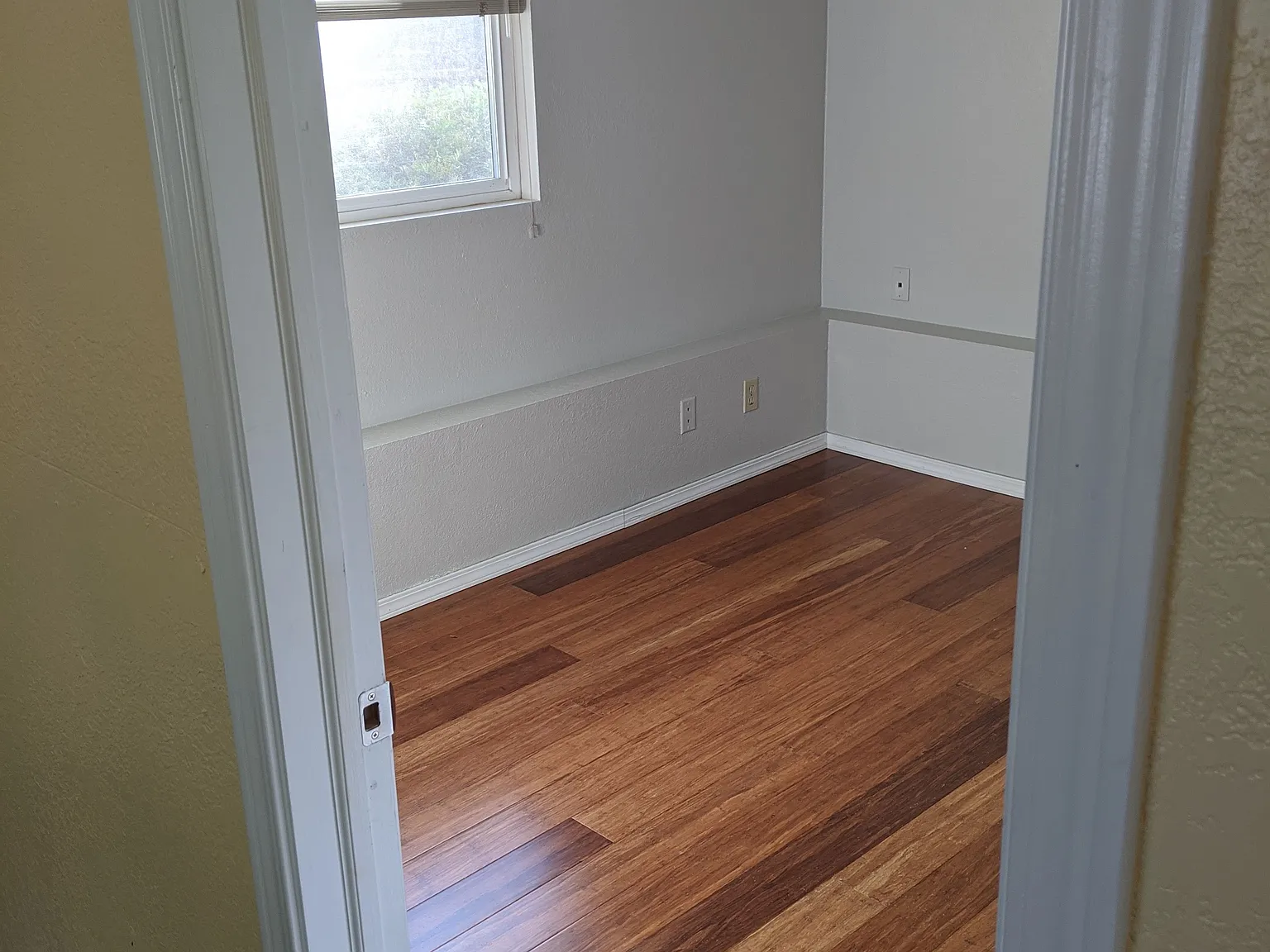 1 bed, 550 sqft, $1,500 — Photo 4