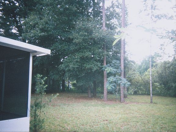 fenced back yard, great trees!