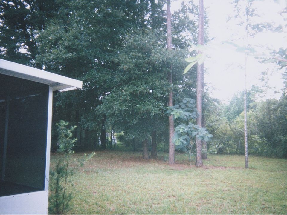 fenced back yard, great trees!