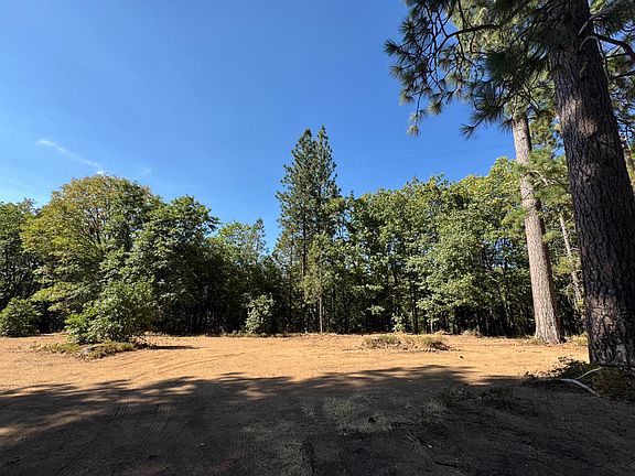 2nd image of 901 Bald Mountain Rd