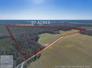 0 Tm Mimbs Rd, Hazlehurst, GA 31539