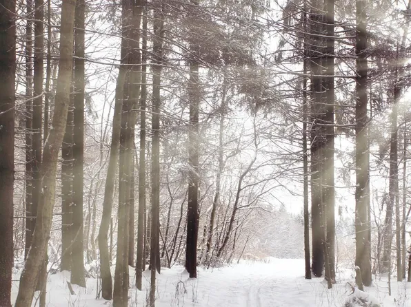 S 500 E, Jonesboro, IN 46938