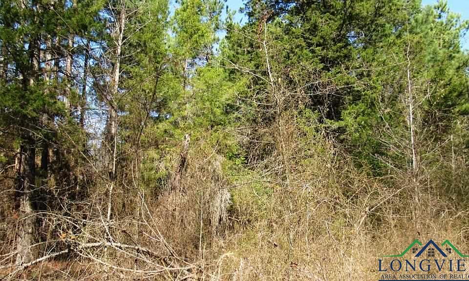 2nd image of 0 Highway 49 W