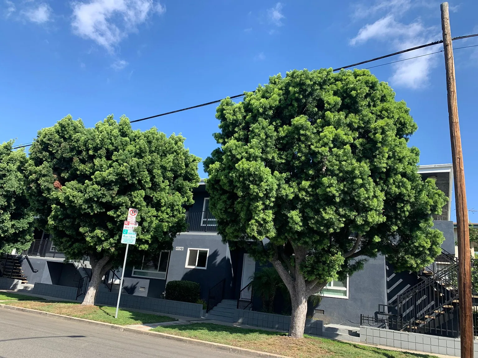 2 bed, 1100 sqft, $3,050 — Photo 3