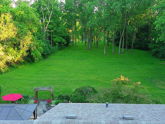 View of Lake & Mature Trees