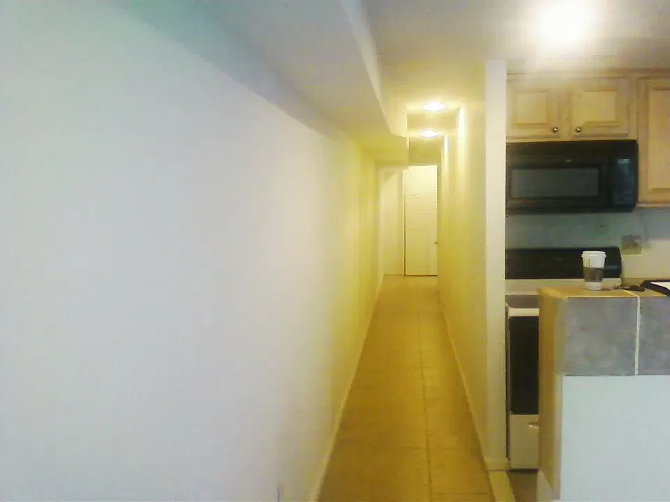 1 bed, 800 sqft, $1,850 — Photo 3