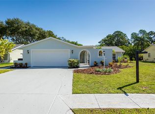 6511 Manila Palm Way, Apollo Beach, FL 33572