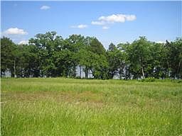2nd image of 1545 Boardwalk Pl