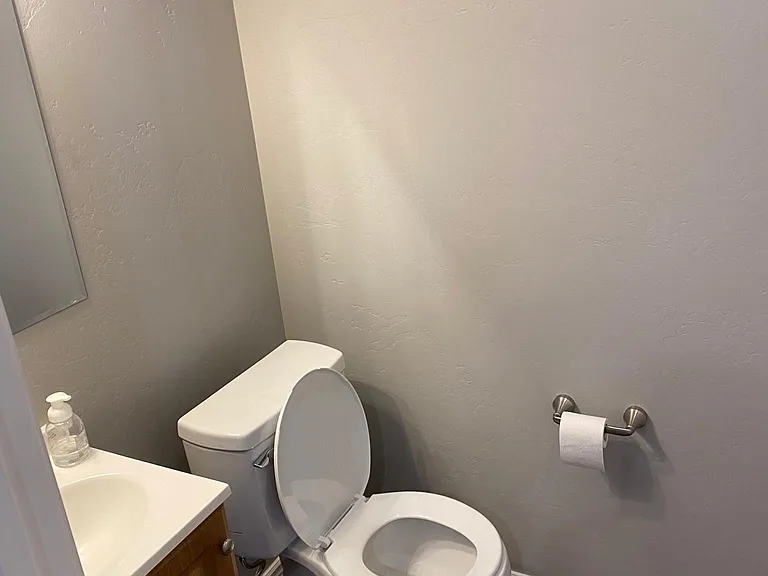 115 Swan Mountain Dr — Photo 4