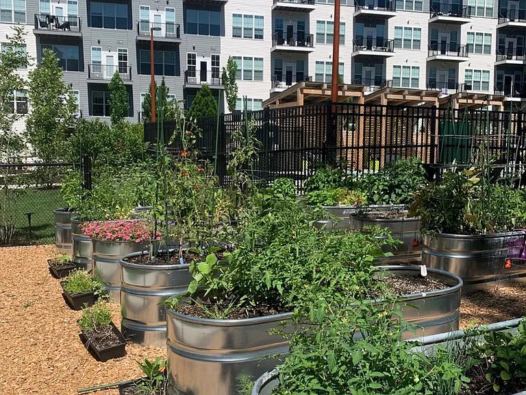 Community Garden