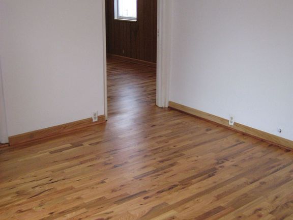5th image of 417 N Adams St APT 4