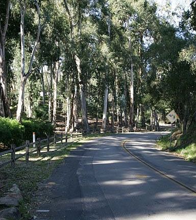 Road in front of house