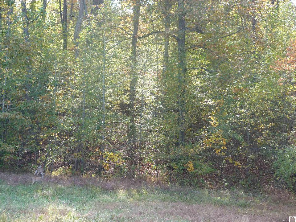 1st image of 0 Rockcastle Rd Lot 4