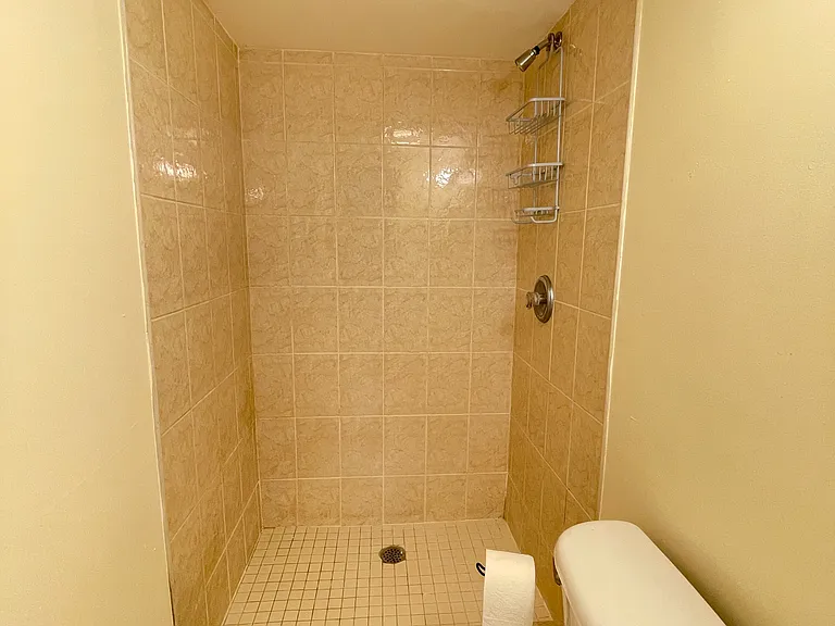 1109 Rockland Ave #1L — Photo 6