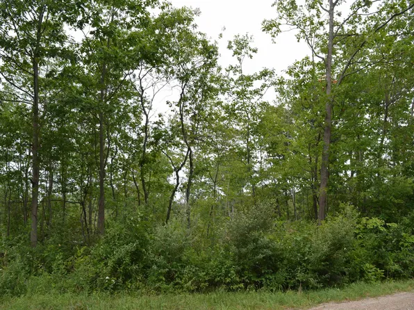 Fisher Rd Lot A, Traverse City, MI 49685