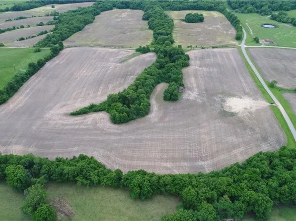 Cotton Rd, Purdin, MO 64674