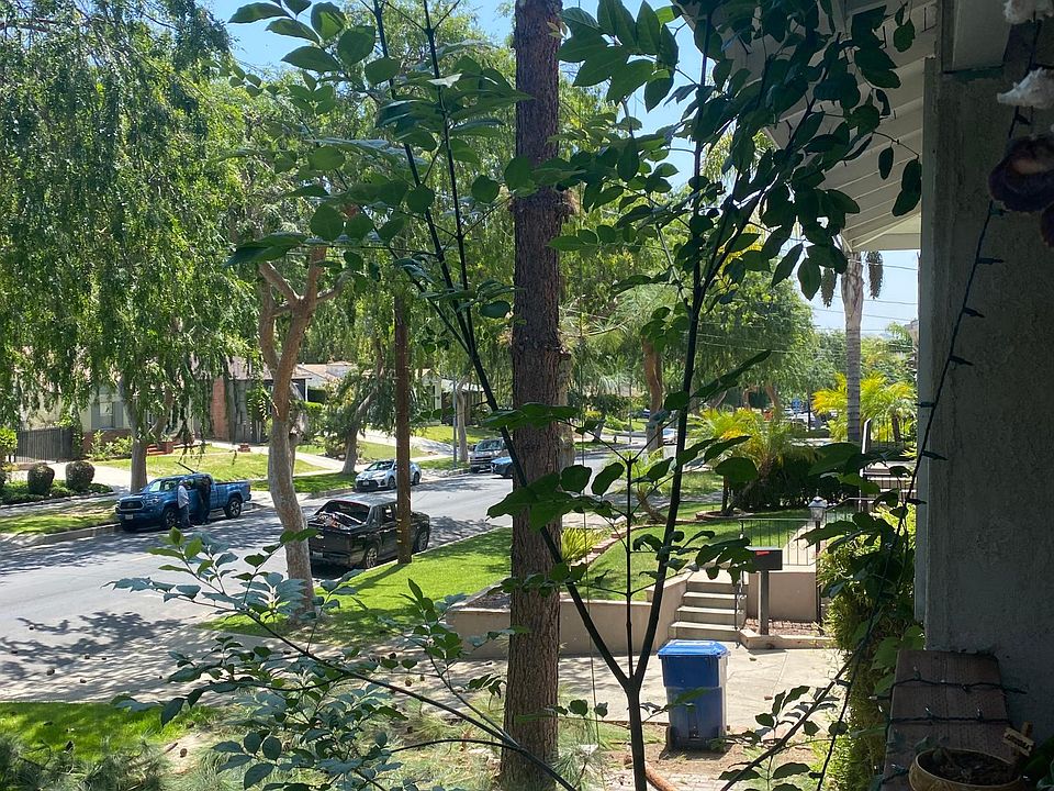 Front yard paradise,