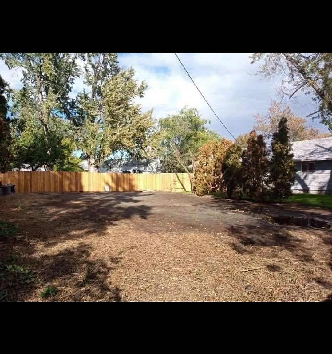 2 bed, 900 sqft, $1,600 — Photo 3