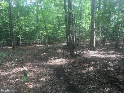 6745 Bristol Oak Pl, Indian Head, MD, 20640