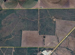 0 S State Highway 80 Hwy, Nixon, TX 78140