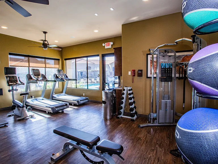 Free Weights