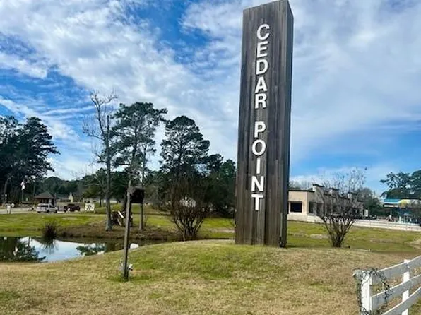 157 Honeysuckle, Livingston, TX 77351